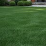 Country Club Fertilizer 18-0-18 1Fe + Humic MINI 50 lb.