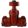 Leemco Mainline Gate Valve Bell X Bell 2 in. x 2 in.