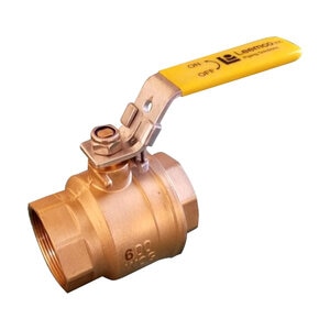 Leemco Ball Valve FPT 400 PSI WOG 3 in. Lead Free Brass