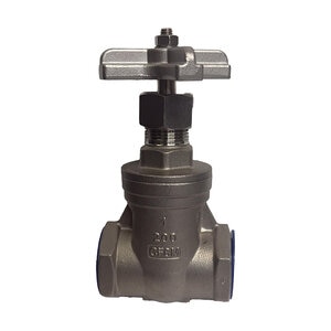 Leemco X-Top Gate Valve 316 SS 1 in.