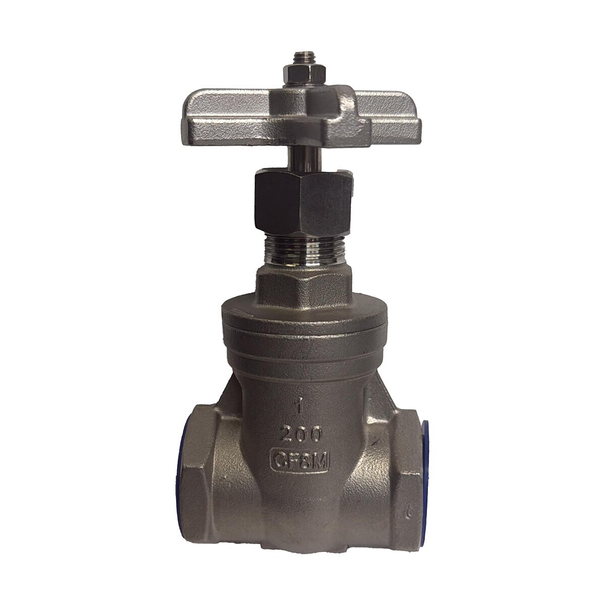 Leemco X-Top Gate Valve 316 SS 1 in | SiteOne US