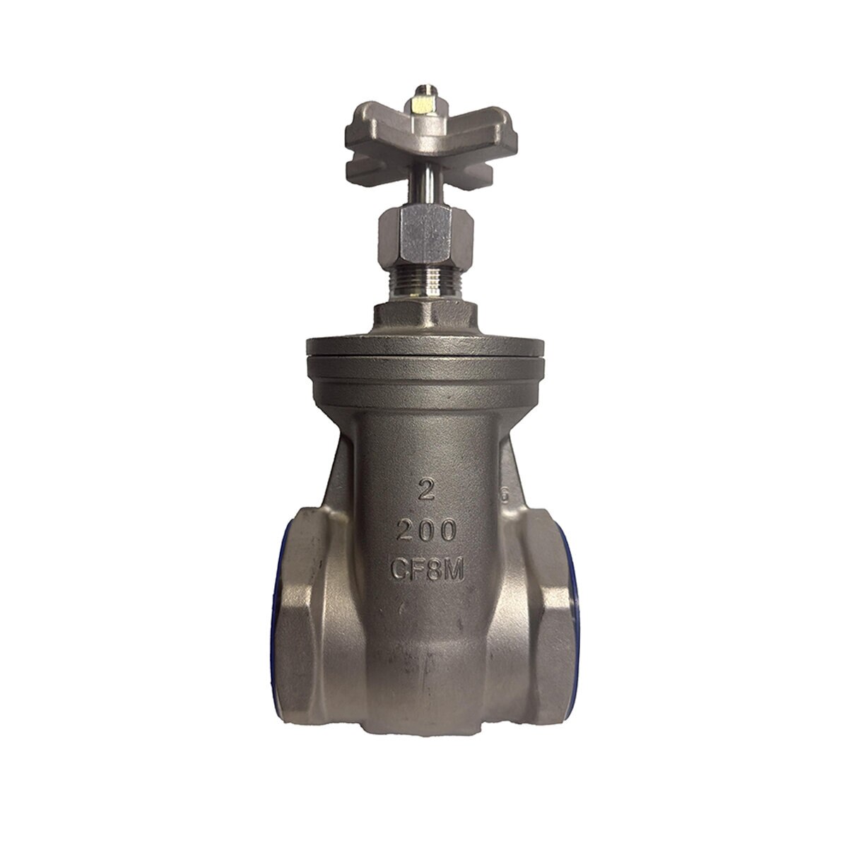 Leemco X-Top Gate Valve 316 SS 2 in | SiteOne US