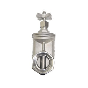 Leemco 2 GATE VALVE 304 X TOP