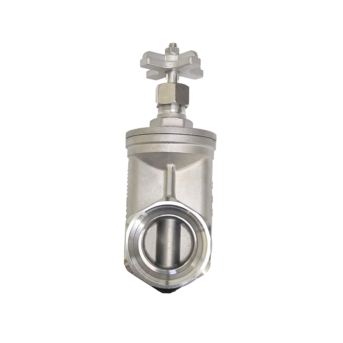 Leemco 2 GATE VALVE 304 X TOP | SiteOne US