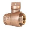 Legend Curb Stop Valve 1 in. Fip