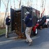 Little Wonder Monster 33hp 5 Yard Self-Contained Truckloader Trailer