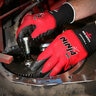 Ninja BNF Nitrile M