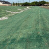 MKB ErosionTech Excelsior Blanket Green Single Poly Net 8 ft. x 150 ft.