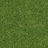 MSI Emerald Green Synthetic Turf 76 oz. Face Weight 15 ft. x 100 ft. Roll