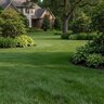 Maestro Gro Texas Tee Plus 12-2-6 AM SOP Ornamental and Turfgrass Granular Fertilizer 40 lb. Bag
