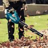 Makita LXT Brushless Blower X2 36V
