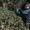 Makita Max XGT Brushless Cordless Hedge Trimmer Kit 40V
