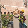 Makita LXT Brushless Telescoping Pole Saw Kit 10 in. x 13 ft. Length 36V (18V X2) 5.0Ah