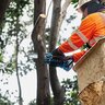 Makita 18 V LXT Lithium-Ion Brushless Cordless 6 in. Pruning Saw Kit with One Battery
