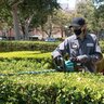 Makita Max XGT Brushless Cordless Hedge Kit 40V

