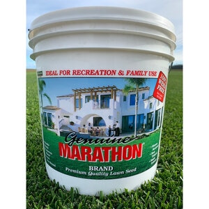 MARATHON SEED 5#