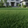 Marathon Sod & Seed Starter 15-15-15 18 lb.