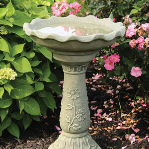 Massarelli Wild Flower Bird Bath 19 in. x 27-1/2 in.