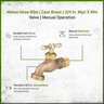 Matco Hose Bibb Cast Brass 3/4 in. MIPT x MHT