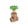 1 Gate Valve Full Port Cast Brass X-Handle