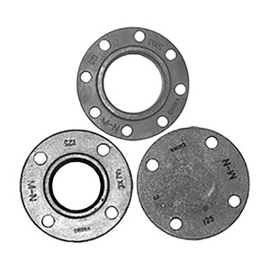 2" CI Companion Flange Galvanized