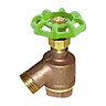 1/2 in. Bent Nose Garden Valve
