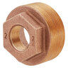 1/2 in. x 1/4 in. Brass Bushing