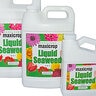 Maxicrop Seaweed Green 1 gal.