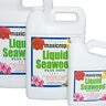 Maxicrop Plus Iron Blue 1 gal.