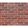 McNear Thin Brick Sandmold Series Standard Charleston Flat (8.3 sq. ft./box)