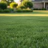 Mears Granular Fertilizer 20-0-20 75% CRN MOP/SOP 2% Fe 50 lb.