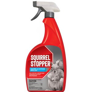 Messina's Squirrel Stopper Liquid Animal Repellent 32 fl oz. Trigger Bottle