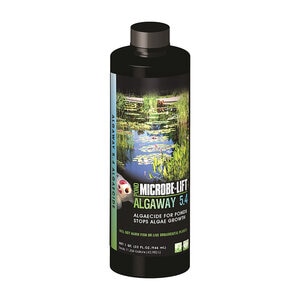 ECOLAB ALGAWAY QUART