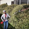 Milwaukee M18 Fuel Extended Pole Articulating Hedge Trimmer (Tool-Only)