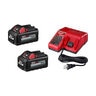 Milwaukee M18 18V Lithium-Ion High Output Starter Kit w/ Two Battery (6.0 Ah) & Charger