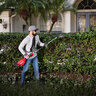 Milwaukee M18 Fuel Pole Articulating Hedge Trimmer
