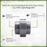 NDS Flo-Control Sch 80 PVC Union 2 in. FIPT