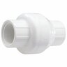 NDS Swing Check Valve IPS PVC 2 in. x 2 in. FIPT x FIPT