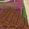 Nds Dura Flo Jr 1/4 in. Brown Dripline 0.5 GPH 6 in. Spacing 100 ft.