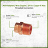 Male Adapter Wrot Copper 3/4 in. Copper x MIPT