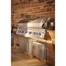 Napoleon Built-In 700 Series Grill Head w/ Dual Infrared Rear Burners Stainless Steel LP 44 in.