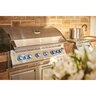Napoleon Built-In 700 Series Grill Head w/ Dual Infrared Rear Burners Stainless Steel LP 44 in.