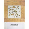 Native American Native Texas Seed Mix 1 lb.