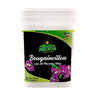 Nelson Plant Food NutriStar Bougainvillea 17-7-10 15 lb.