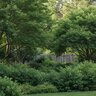 Nelson Plant Food NutriStar Tree & Shrub 21-6-8 25 lb.