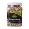 Nelson Plant Food NutriStar Bougainvillea & Flowering Vine 17-7-10 Ornamental Granular Fertilizer