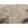 Newline English Cobble Sandstone Blend Coastal Tan 6 in. x 6 in. (113 sq. ft./pallet)
