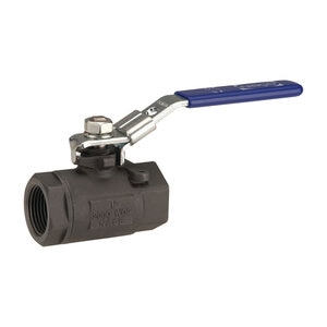 Nibco T-580-S6-R-66-LL Ball Valve Stainless Steel 1 in. Threaded 2 pc.