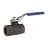 Nibco T-580-S6-R-66-LL Ball Valve Stainless Steel 1 in. Threaded 2 pc.