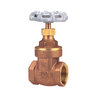 Ti8 1 in. Full Port Gate Valve